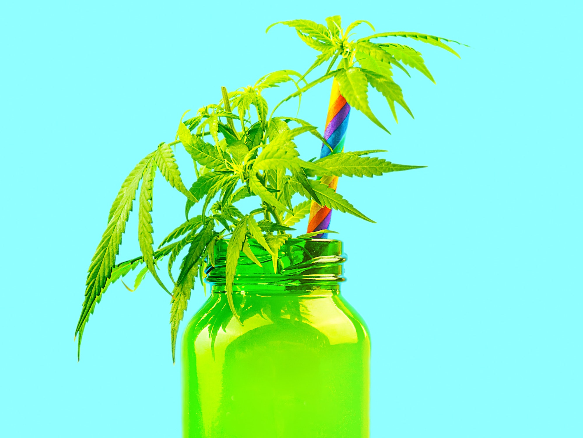 Cannabis marijuana CBD smoothie or juice water drink