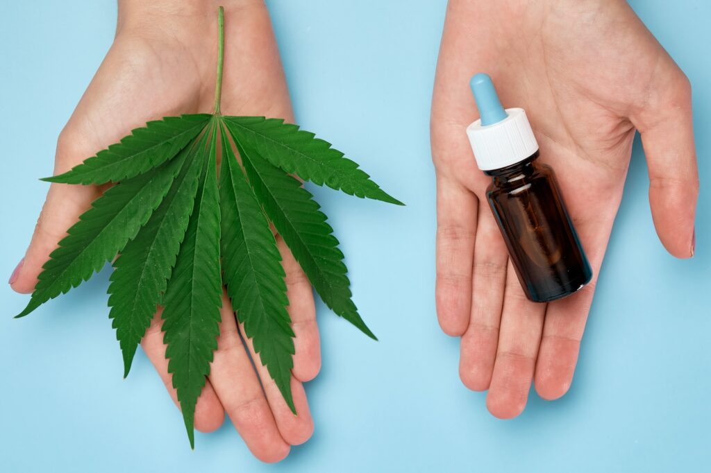 Cannabis leaf on the woman hand and bottle with CBD oil