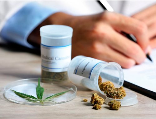 Medical marijuana and employment: state and federal laws overview