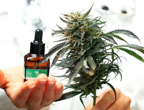 Is marijuana safe and effective as a treatment?