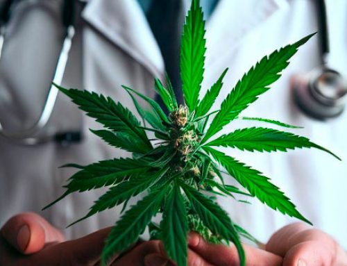 How to manage nausea and appetite issues after using medical marijuana