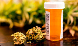 medical marijuana prescription for chronic pain