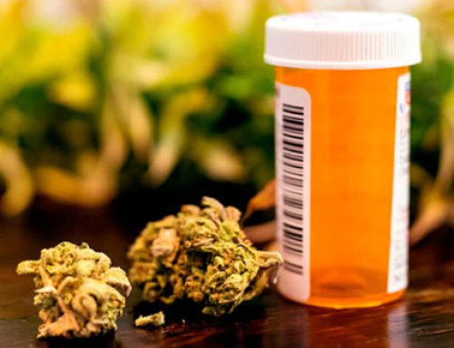 Is marijuana effective for chronic pain